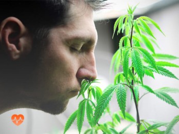 Детоксикация от марихуаны в Серафимовском